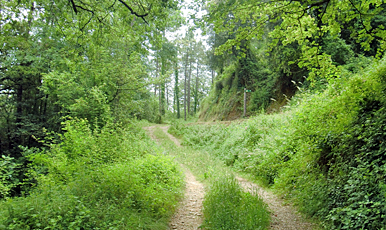 Sant Julià de Ramis - Sants Metges